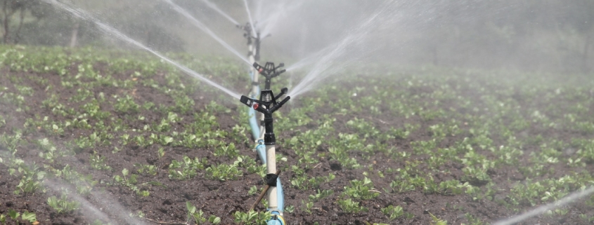 Irrigate